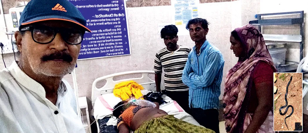 ग्राम सांडा में जहरीले सांप के डंसने से महिला की हालत गंभीर, समय पर इलाज से बची जान