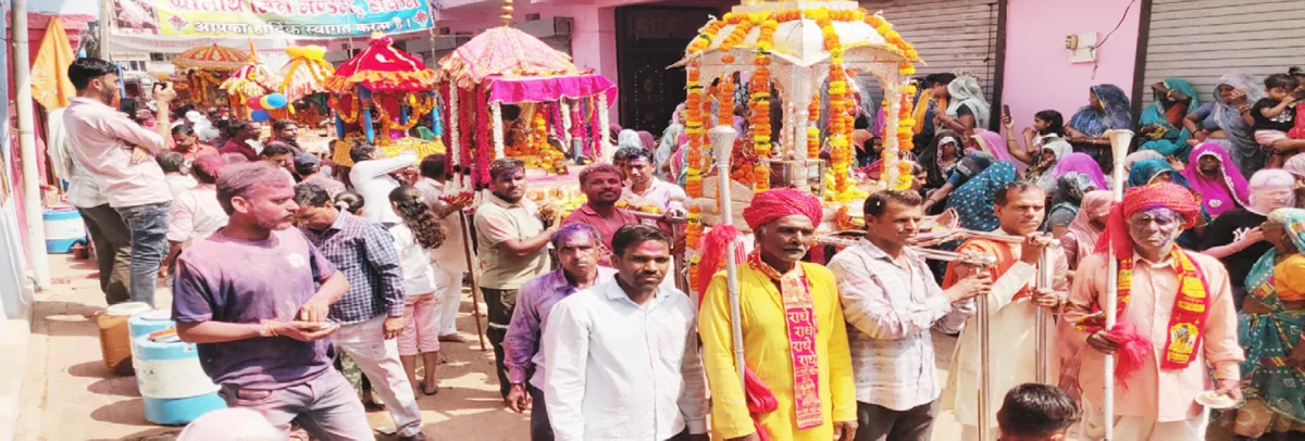 डिकैन में हर्षोल्लास से मना डोल ग्यारस पर्व, 17 बेवाणों के साथ निकली भव्य शोभायात्रा