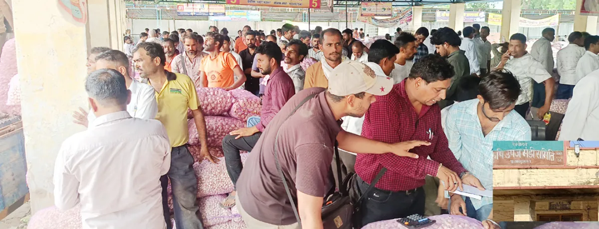 दो साल में 8 मंडी सचिव बदले, अब 9वें के सामने ऊटी लहसुन सीजन की चुनौती
