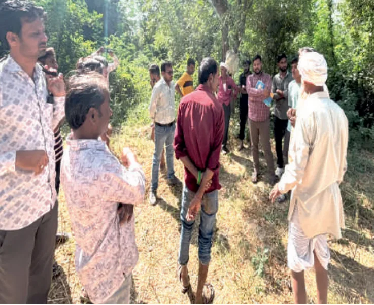 नीमच में किरपुरा स्टॉप डैम से अवैध जल दोहन पर कार्रवाई: पंपों के बिजली कनेक्शन काटे